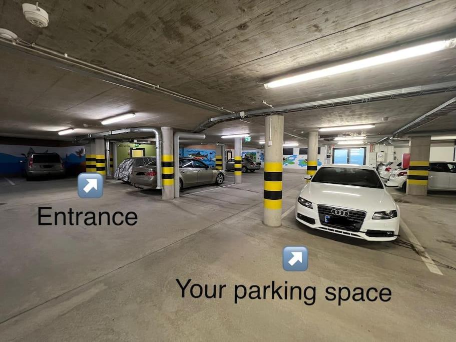 Suite - King Size Bed - Gym&Wifi - Indoor Parking Рованіемі Екстер'єр фото
